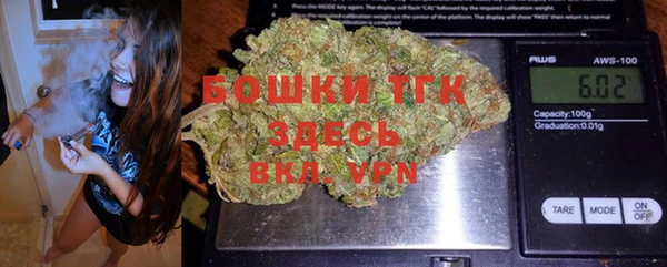 прущие грибы Балахна