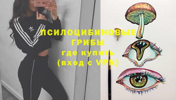 прущие грибы Балахна