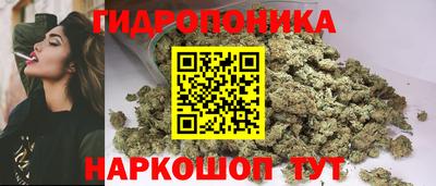молекула духа Можга